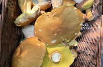 Family & Business Sauna Apartments No1 Leśny nad Zalewem Cedzyna Unikat - 3 Bedroom with Private Sauna, Bath with Hydromassage, Terrace, Garage, Catering Options - Foto 66