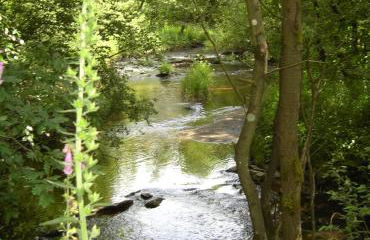 Eifellounge - Foto 65