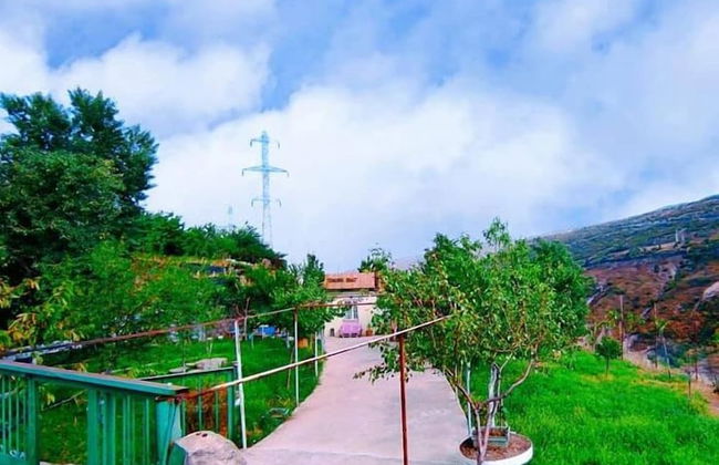 Veranda Vere - Foto 15