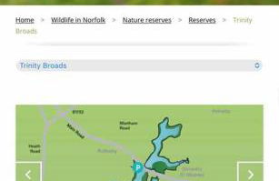 Passing Moon- Filby (Norfolk Broads) - Foto 16