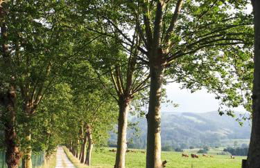 Casas las Carolinas - Foto 31