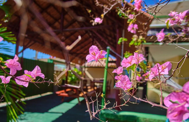 Villa in Cárdenas with swimming pool and garden - Photo 61