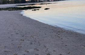 Atico Cortegada - Foto 31