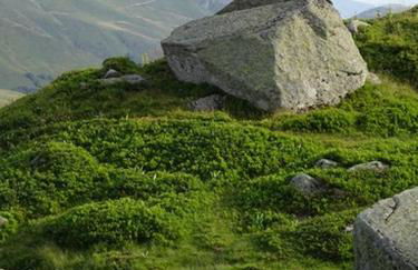 BIENVENUE AU LIORAN - Photo 19