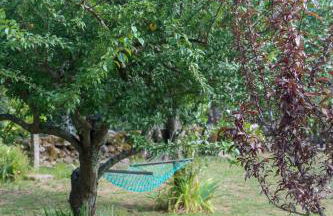 Casa Campo das Bizarras - Foto 104