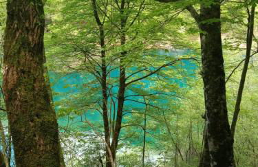 Lo chalet Biancaneve - Foto 10