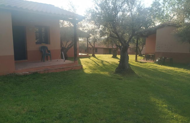 Aldea Vetonia Alojamientos con Encanto Parque de Mascotas-NO SE ACEPTAN EN JULIO Y AGOSTO- Varias zonas infantiles y deportivas "encuentranos y reserva para verano" - Foto 96