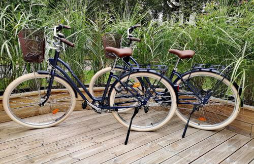 Gîtes L'Ancienne Ecurie - L'Ancien Atelier - Foto 6