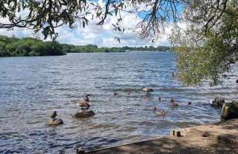 The Pennington Apt with Wifi and FREE Parking Next to Sports Village - Foto 31