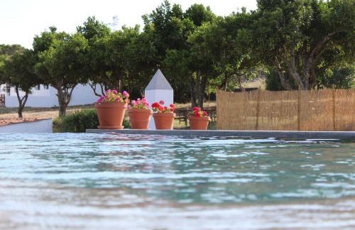 Herdade da Maxuqueira - Foto 50