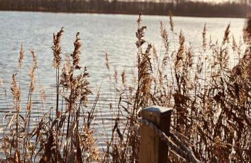 Dom Kacprowy - Brzegi Lasu - dwa apartamenty na wyłączność z ogrodem - Foto 59