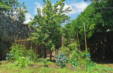 Monolocale con veranda e giardino a Rio Marina - Foto 42