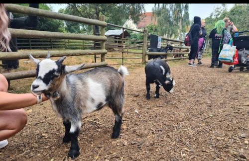 Modern 2bedroom House in Ipswich Suffolk - Foto 26