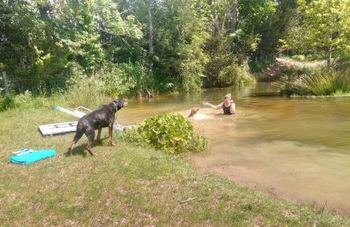 Peaceful ensuite lakeside cabin 'Tench' - Foto 32
