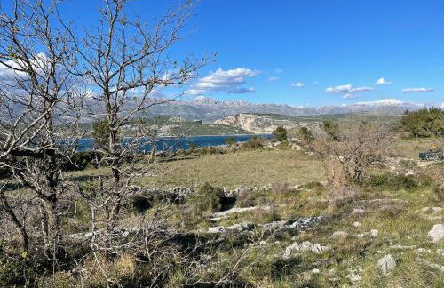 Villa Planita Dalmacija - Photo 78