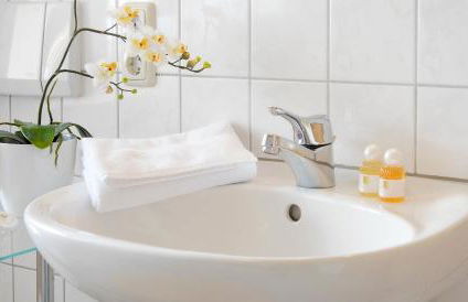 Hornblick FEWO- ab Mai freie Fahrt mit Bergbahnen - Foto 15