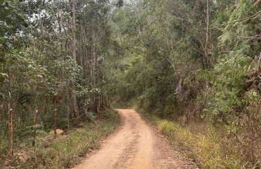 Linda casa de vidro no coração da Mantiqueira - Foto 18