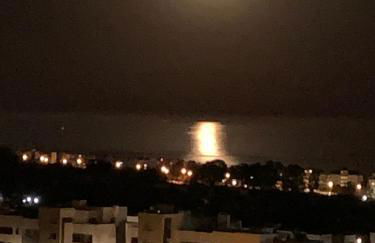 MARBELLA,ESTEPONA,SELWO HILLS,Sea and Sun Hills,NEW GOLDEN MILES - Photo 3