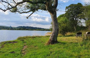 Fauld O Wheat Shepherds Hut , Loch Ken ,Off Grid - Foto 8