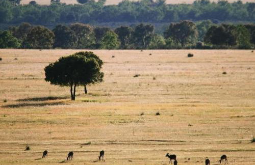 Cottage in Navas de Estena with Pool & Jacuzzi - Photo 23