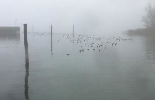 Zwischen Hafen und Strandbad - Foto 28