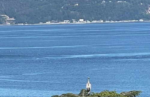 Beautiful Puget Sound Waterfront Villa - Foto 21