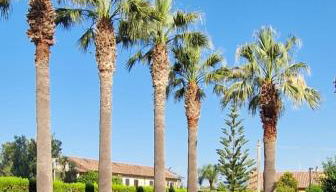 Villa Laura Residence Hotel Apartments & Studios - Foto 3