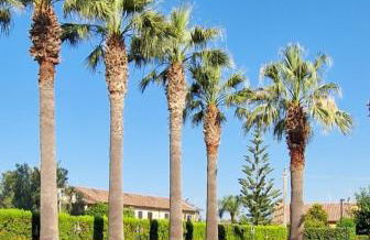 Villa Laura Residence Hotel Apartments & Studios - Foto 3