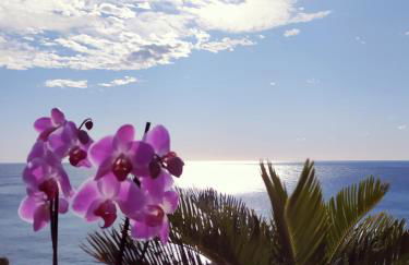 Casa Bianca Ischia - Foto 39