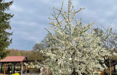 Przystań Korońa nad jeziorem Raduń - Foto 20