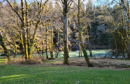 A Relaxing Getaway-A Backwoods Cabin SolDuc River - Foto 41