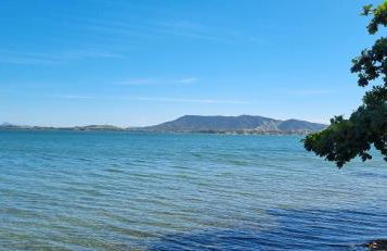 Kitnet em ambiente familiar - Photo 13