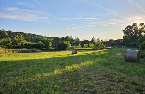 Podere Il Cerrone app Romilda con piscina - Foto 63