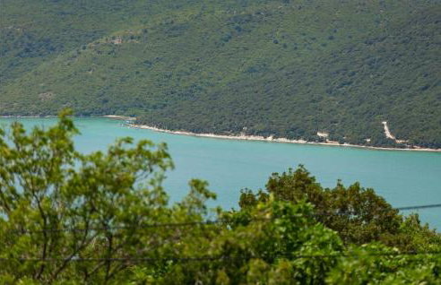 Villa Camellia Trget - Foto 46