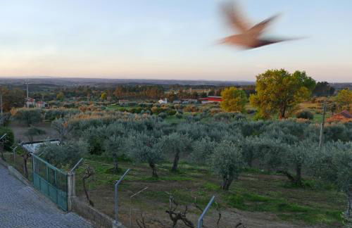 Casa e piscina privada - Photo 7