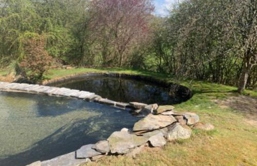 Bryn Melyn Farm Cottages - Foto 7