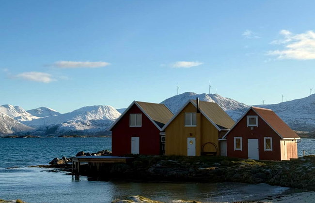Excursão a Sommarøy - Photo 2