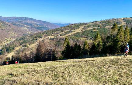 Domek w Szczyrku sauna & balia - Foto 44