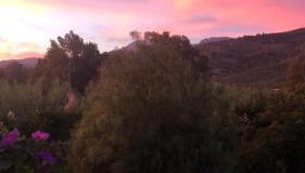 Finca el Rio, The Studio self catering with pool and hydrotherapy jacuzzi set in beautiful gardens, - Foto 5