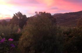 Finca el Rio, The Studio self catering with pool and hydrotherapy jacuzzi set in beautiful gardens, - Foto 5