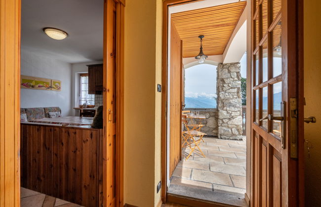 Hérisson - Photo 14