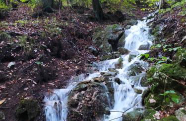 Paradise Apartments Paganella - Foto 26