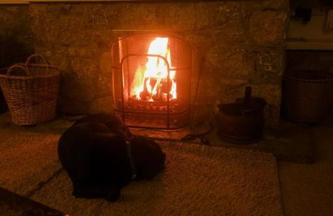 Tyr-yr-craig Cottage to rent - Photo 27