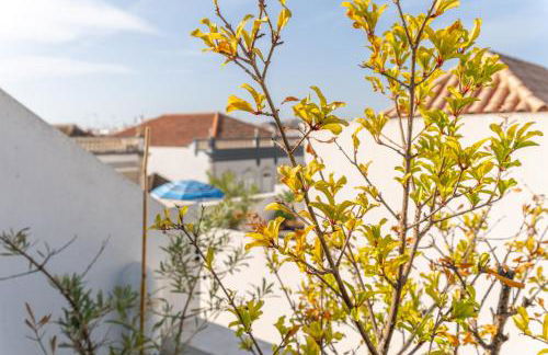 Casa Alecrim - Foto 52