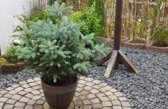 Apartment Curly - Foto 15