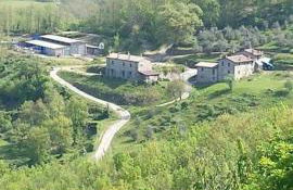 Le Chianine dei Tognoli - Foto 16