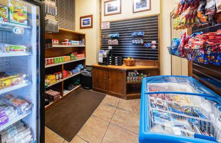 Marriott Timber Lodge 1BR Apartment with Resort Access - Foto 19