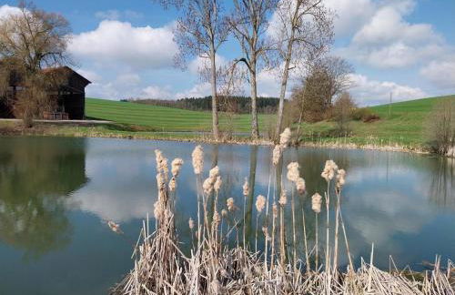 Gschwandnerhof - Foto 32