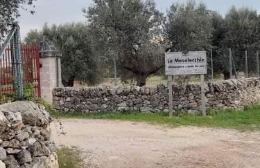 Masseria Le Mesolecchie - Foto 9