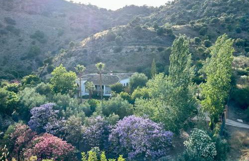 Authentic Luxury Villa in Oasis with Pool close to Malaga - Foto 1